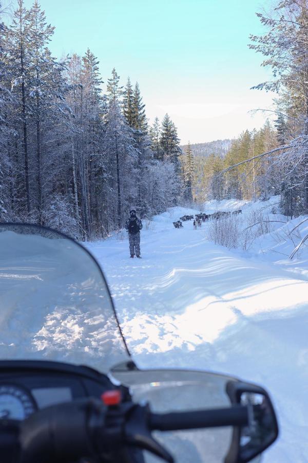 Cozy Stuga - Mountain View Ramsele Eksteriør billede